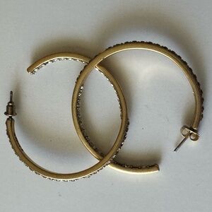 J.crew Elegant Gold Hoop Earrings